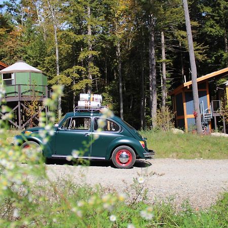 Trekker, Treehouses Cabins And Lodge Rooms Лейк Джордж Екстериор снимка